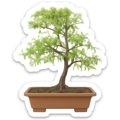 Bonsai tree sticker