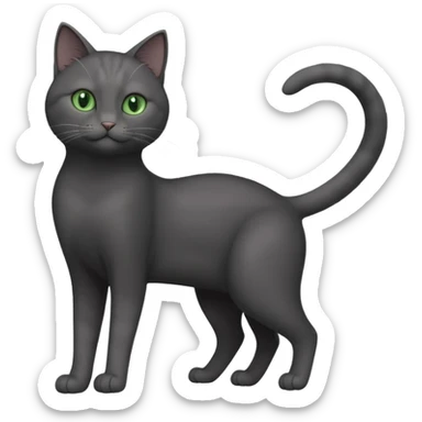 full body gorgeous solid dark grey cat with green eyes, white paws and white whiskers stretching like a cat sticker