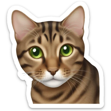 brown tabby cat green eyes  sticker