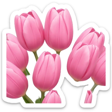Pink tulips sticker