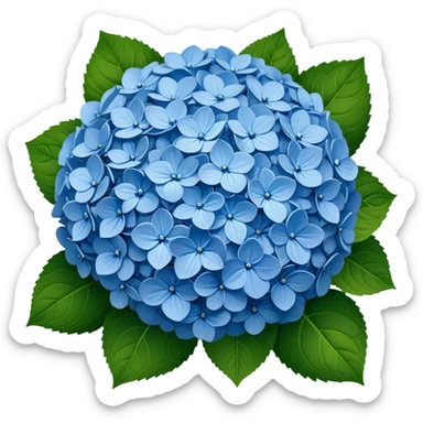Beautiful blue hydrangea flower cluster with rounded ball shape and lush green leaves sticker
