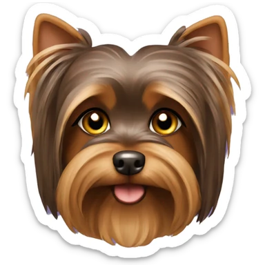 Chocolate color Yorkshire terrier with long hair sticker