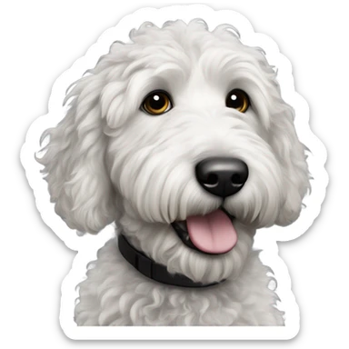 Black and white goldendoodle  sticker