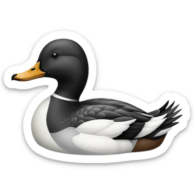 Loon duck sticker
