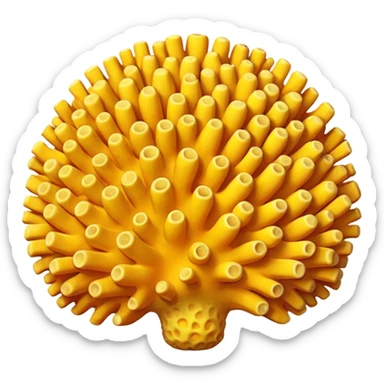 yellow Coral  sticker