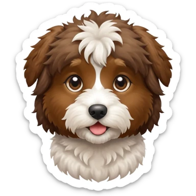 Miniature Aussiedoodle sticker