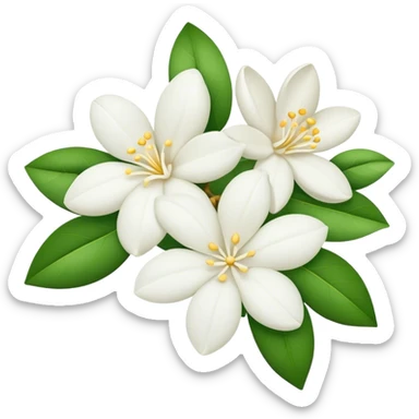 a bunch of jasmine flowers sticker
