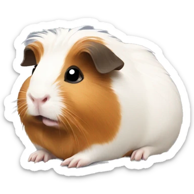Guinea pig sticker