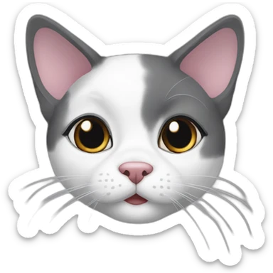 older round diluted calico, white chin, black and pink nose, grey ears, grey and white sticker