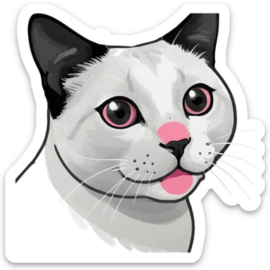 black and white cat with black dot next to pink nose sticker