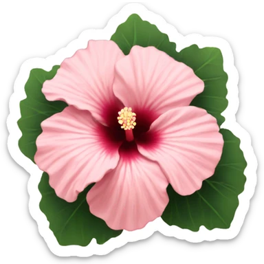 light pink hibiscus  sticker
