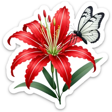 Red spider Lilly with white butterfly  sticker