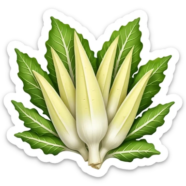 Belgian endive sticker
