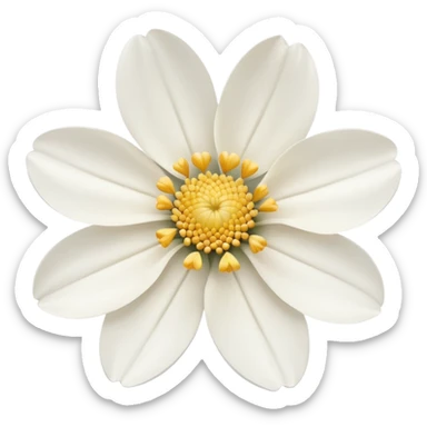 Flower white sticker