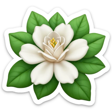 Rosa blanca tipo gardenia sin hojas verdes ninguna hoja verde sticker