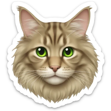 Beige maine coon with green eyes sticker