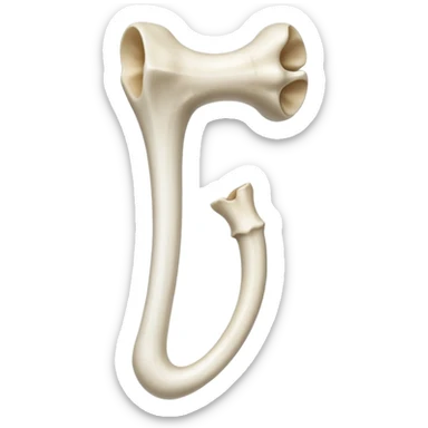 singular long anatomically-correct bone sticker
