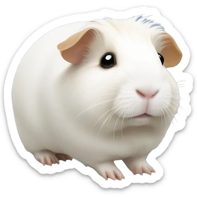 white Guinea pig sticker