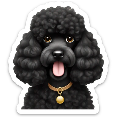 Beautiful black miniature poodle with show wool styling sticker