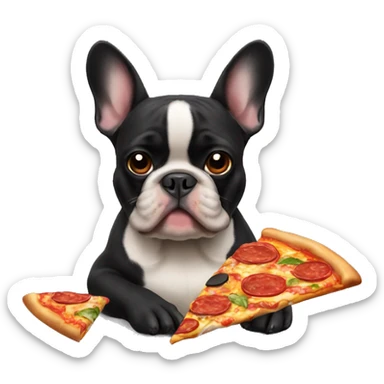 All black French bulldog eating pizza sticker