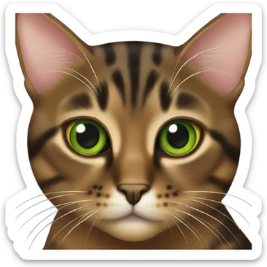 brown torbie cat with green eyes sticker