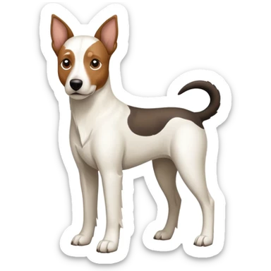 a full body large white floppy eared parson russell looking dog the size of a kelpie with light brown ears and a light brown patch on one eye and a large snout sticker
