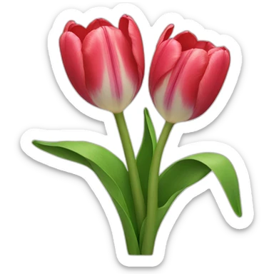 tulips sticker
