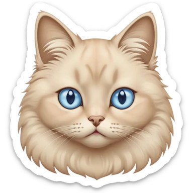 sad beige cat with blue eyes  sticker