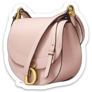 dior  saddle bag sticker