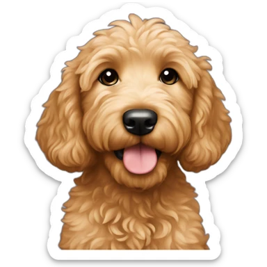 a goldendoodle puppy named biscuit sticker