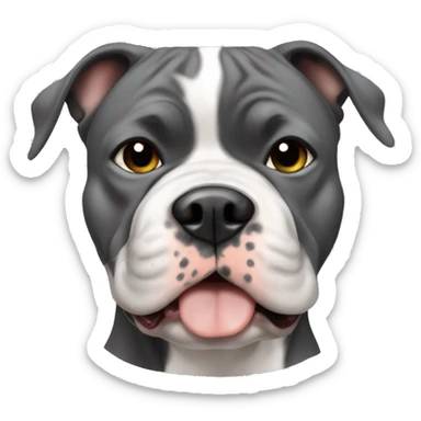 American bully dog boy brindle white and grey and black big head sticker