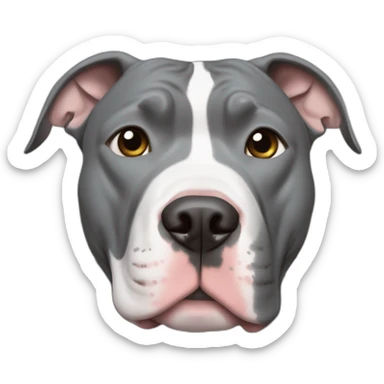 Blue nose grey pitbull with white chest and cut off ears sticker