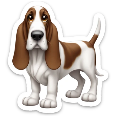 Basset hound  sticker