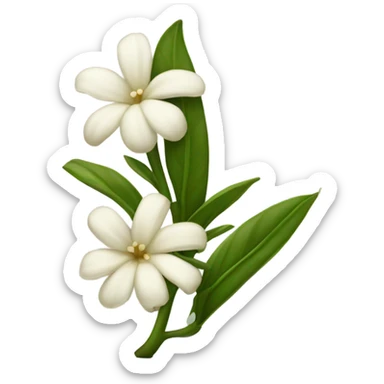 vanilla bean with white flower sticker