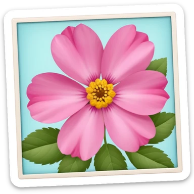 Polaroid photo of pink flowers sticker