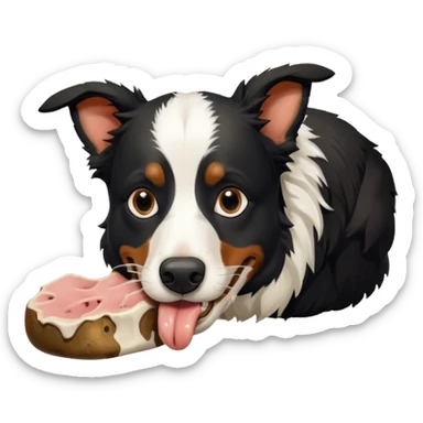A black and white border collie is chewing on a rotten, smelly cow's hoof. sticker