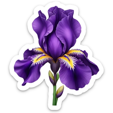 💜 rengini aç sticker