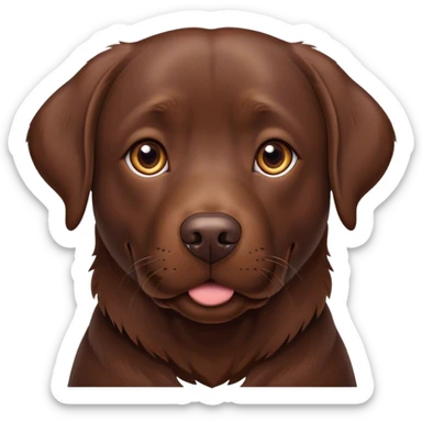 Chocolate lab sticker