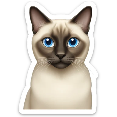 Long hair Siamese cat with light blue eyes sticker