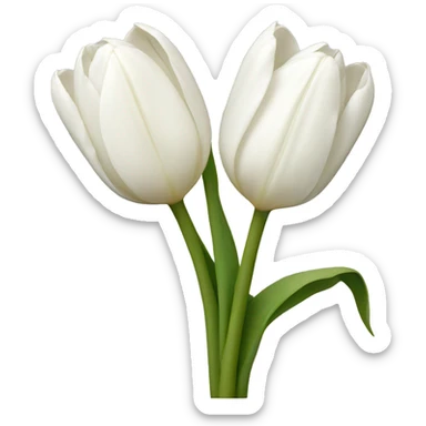 White tulips sticker
