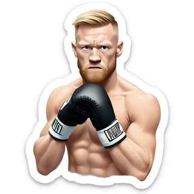Connor McGregor boxing  sticker