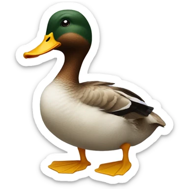 Duck from woods full body  sticker