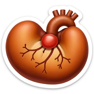 kidney sticker