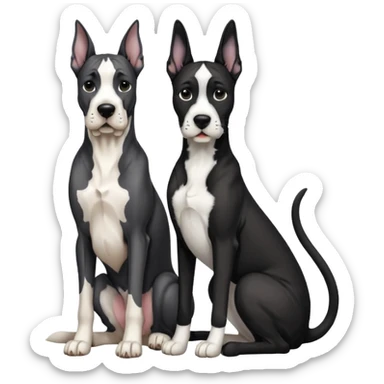 Adult Black and white great dane dog with cropped ears sitting with a small black and white cat sticker