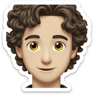 timothée chalamet  sticker