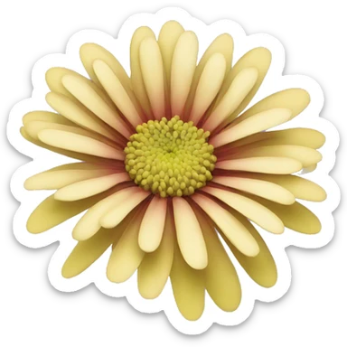 chrysanthemum flower sticker