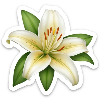 Create a beautiful lily flower  sticker