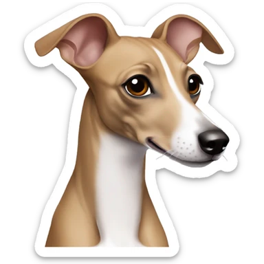 Fawn Italian greyhound  sticker