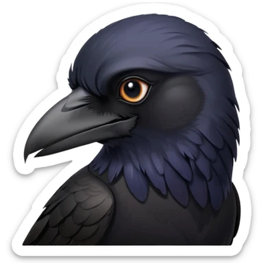 Raven sticker