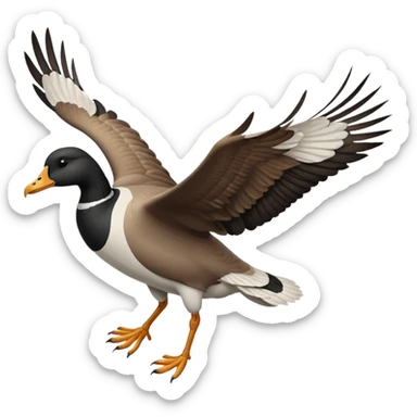 wild goose in flight, with black neck, black feet, brown wings, black-and-white head, white belly sticker